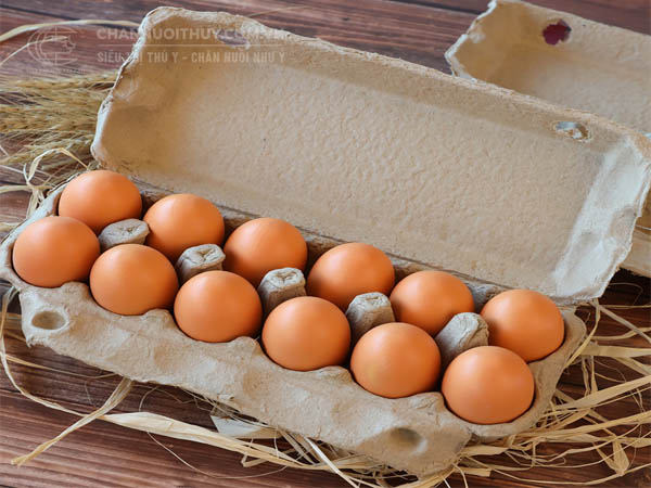 Giới thiệu hộp đựng trứng Malaysia 12 quả
