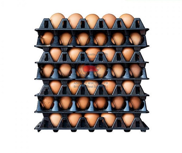 Vỉ đựng trứng max size lên tới 30 quả, là loại lớn chiều ngang 5 quả, dọc 6 quả