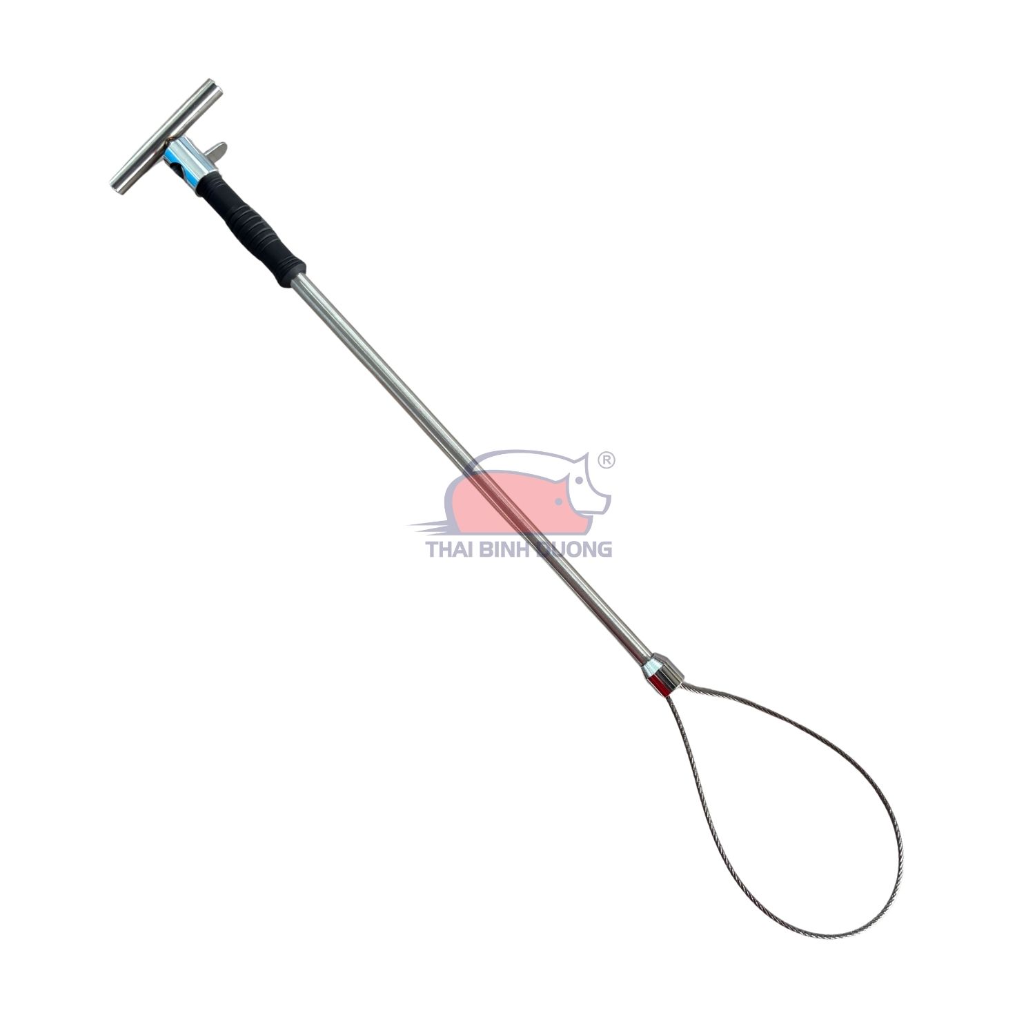 Thòng lọng bắt heo, dài 60 cm bằng thép không gỉ