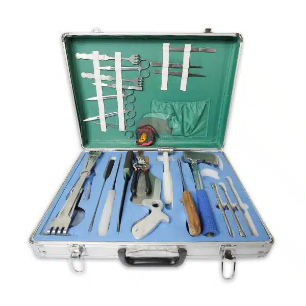 bo-do-dai-phau-32-chi-tiet