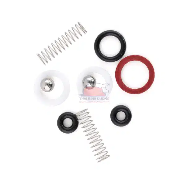 bo-linh-kien-xi-lanh-thama-lo-xo-gioang-bi