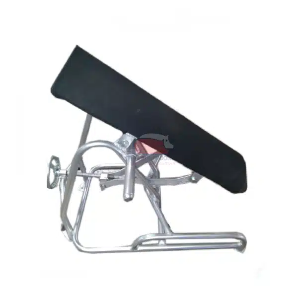 gia-nhay-cho-heo-noc