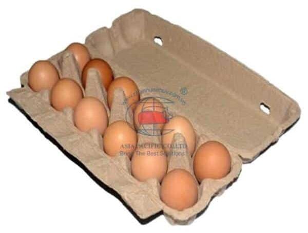 Nơi bán hộp đựng trứng Tupperware an toàn giá rẻ 