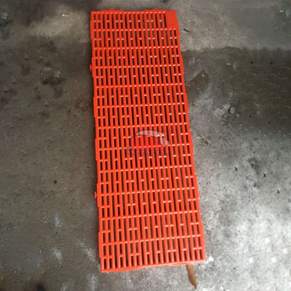 Sàn nhựa heo màu cam