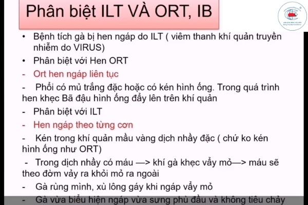 Phân biệt ILT, ORT, IB