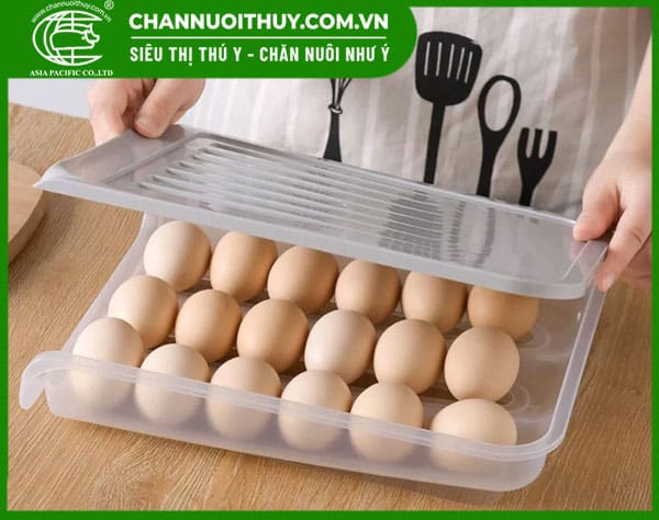 Hộp đựng trứng trong tủ lạnh nên mua loại nào cho phù hợp? 6 Mua hộp đựng trứng trong tủ lạnh theo thương hiệu