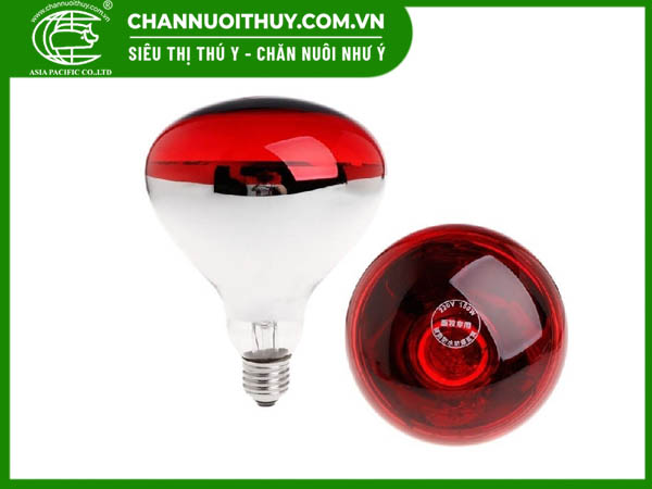 Tất cả thông tin về đèn sưởi hồng ngoại mà bạn nên biết 6 Dùng đèn hồng ngoại sưởi ấm nên chú ý những gì?