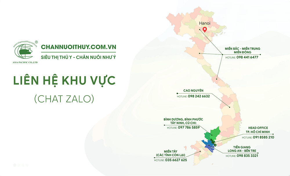 lien he khu vuc