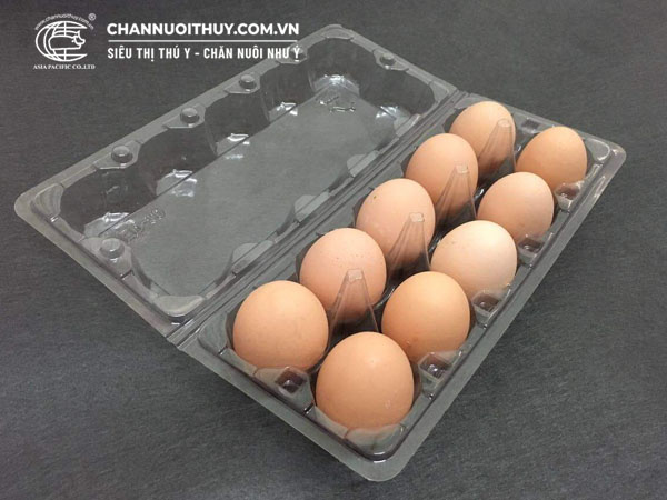 Vỉ đựng trứng nhựa 10 quả
