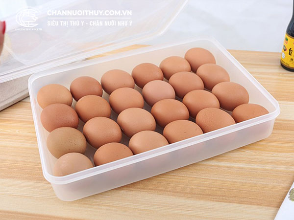Các loại hộp đựng trứng Song Long được ưa chuộng