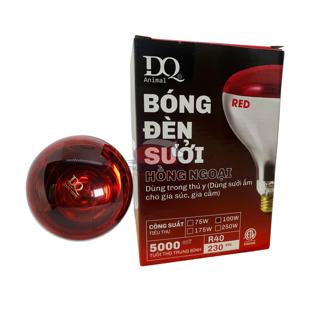 Đèn sưởi hồng ngoại DQ 220V sưởi ấm gia súc gia cầm