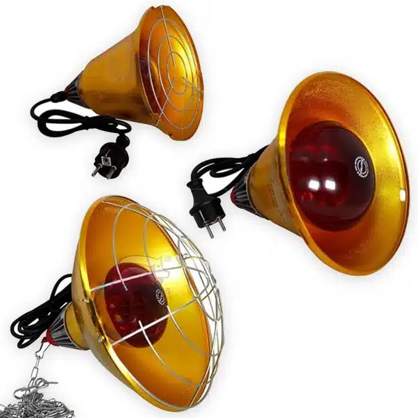 bo-duoi-choa-den-hoan-chinh-interheat