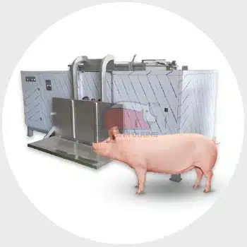 Thiết bị chuồng trại heo