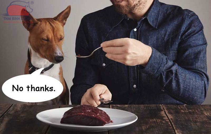 Chó không ăn gì