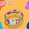 Vòng cổ thú cưng Lucky nhiều màu sắc