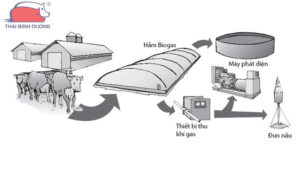 ham-biogas-trong-chan-nuoi