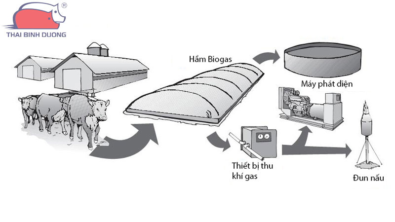 ham-biogas-trong-chan-nuoi