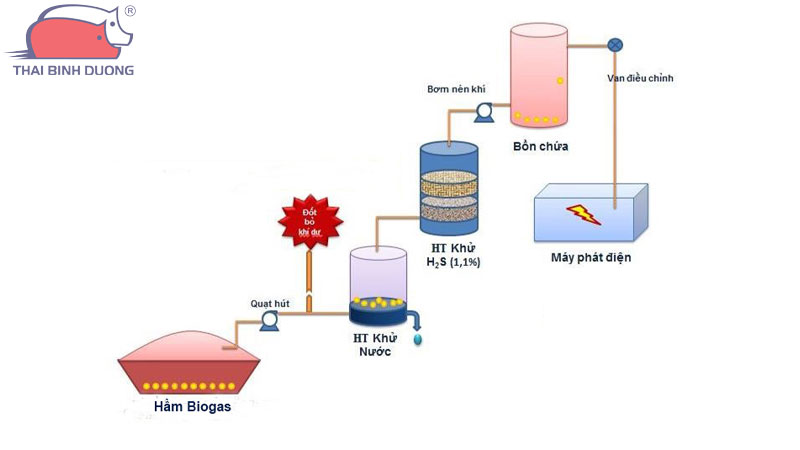xu-ly-chat-thai-chan-nuoi-bang-cong-nghe-biogas-1