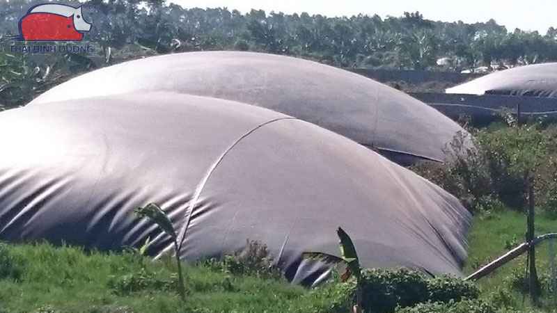 xu-ly-chat-thai-chan-nuoi-bang-cong-nghe-biogas-2