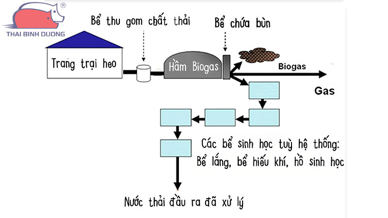 xu-ly-nuoc-thai-chan-nuoi-heo
