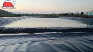 bat-nhua-den-hdpe-4