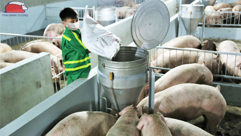 Masan MEATLife