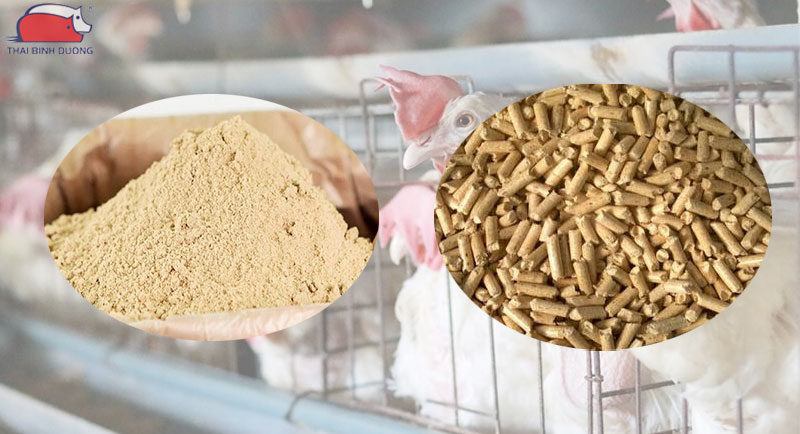 Dạng thức ăn và phân loại theo giai đoạn