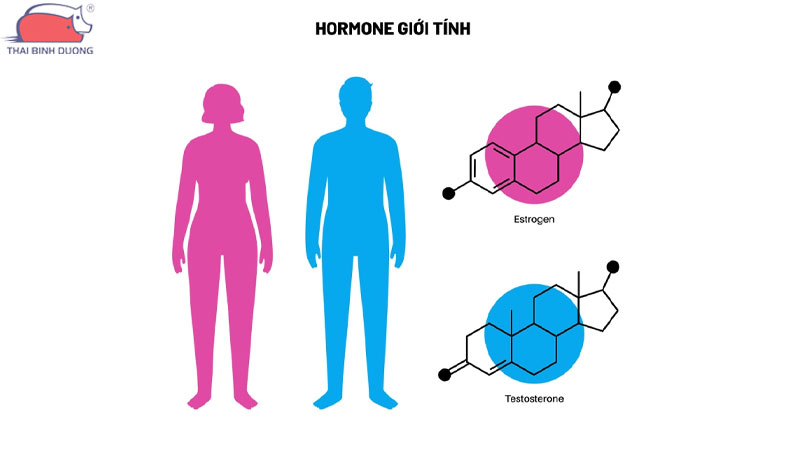 Ngộ độc mãn tính và rối loạn hệ thống hormon