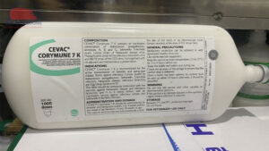 mua vacxin 7 trong 1 cho ga
