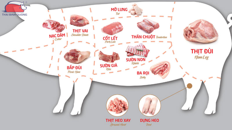 Nọng heo nằm ở vị trí nào? Sơ đồ thịt heo chi tiết và chuẩn xác nhất