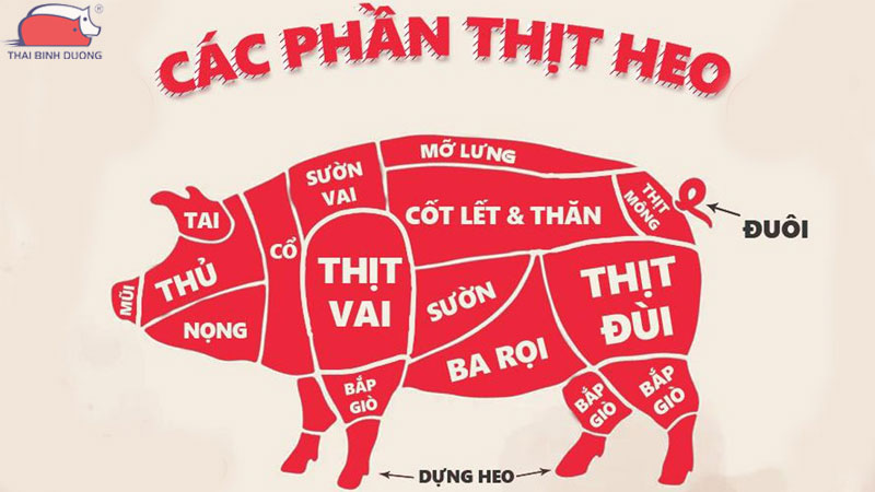 Nọng heo nằm ở vị trí nào? Sơ đồ thịt heo chi tiết và chuẩn xác nhất 15 Nọng heo nằm ở vị trí nào? Sơ đồ thịt heo chi tiết và chuẩn xác nhất