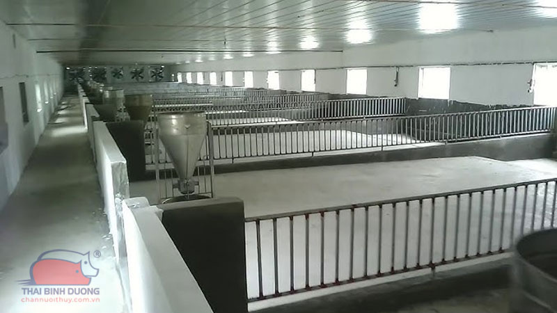 Tìm hiểu về mô hình chăn nuôi trang trại heo gia công 38 Tìm hiểu về mô hình chăn nuôi trang trại heo gia công