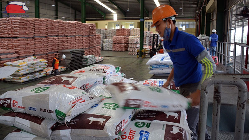 Vì sao giá heo hơi giảm mạnh sau dịp lễ 2/9 năm nay?