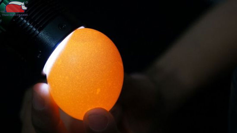 Ăn trứng gà không trống có tốt không?