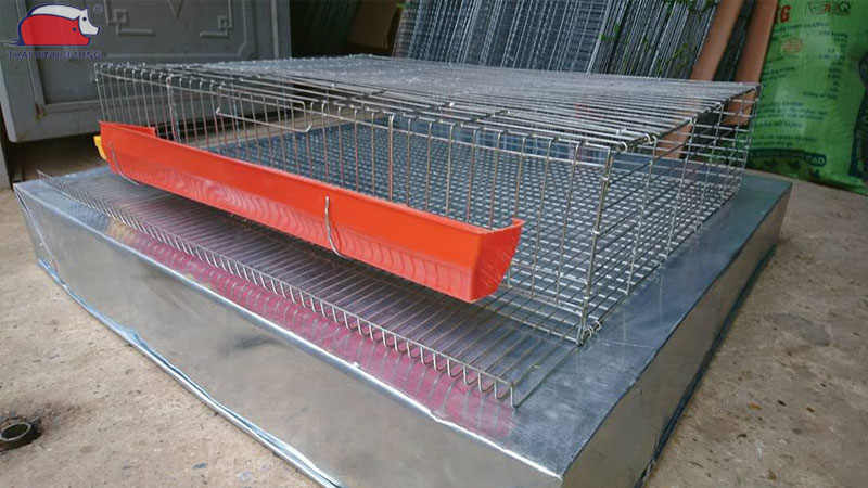 Cách làm chuồng nuôi cút đẻ và kỹ thuật nuôi cút sinh sản hiệu quả