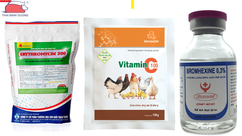 Hướng dẫn cách trị gà khò khè bằng thuốc tây hiệu quả 35 Hướng dẫn cách trị gà khò khè bằng thuốc tây hiệu quả