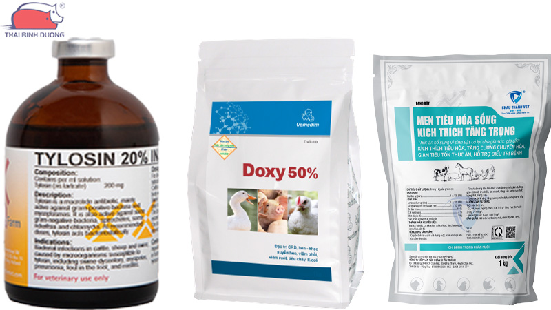 Hướng dẫn cách trị gà khò khè bằng thuốc tây hiệu quả 36 Hướng dẫn cách trị gà khò khè bằng thuốc tây hiệu quả