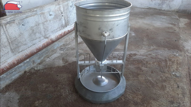 Máng lắc cho heo: Phân loại, cấu tạo và nguyên lý hoạt động 16 Máng lắc cho heo: Phân loại, cấu tạo và nguyên lý hoạt động