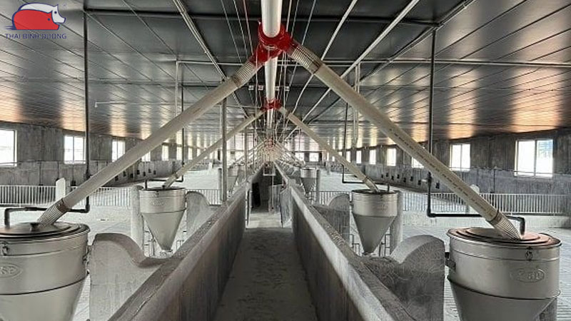 Silo chứa cám: cấu tạo, nguyên lý và lợi ích trong chăn nuôi 32 Silo chứa cám: cấu tạo, nguyên lý và lợi ích trong chăn nuôi