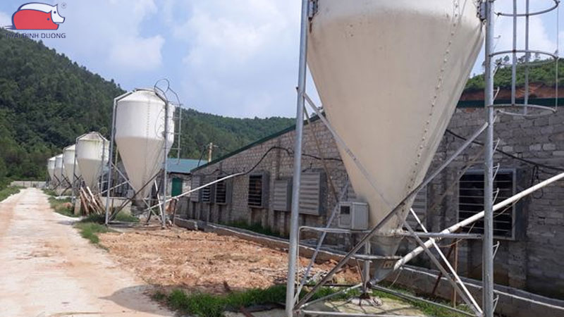 Silo chứa cám: cấu tạo, nguyên lý và lợi ích trong chăn nuôi 56 Silo chứa cám: cấu tạo, nguyên lý và lợi ích trong chăn nuôi