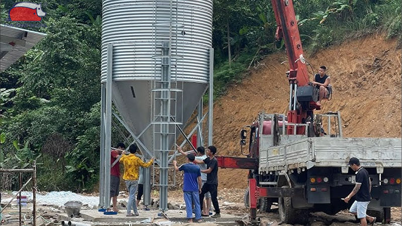Hướng dẫn lắp đặt và sử dụng silo chứa cám cho trang trại