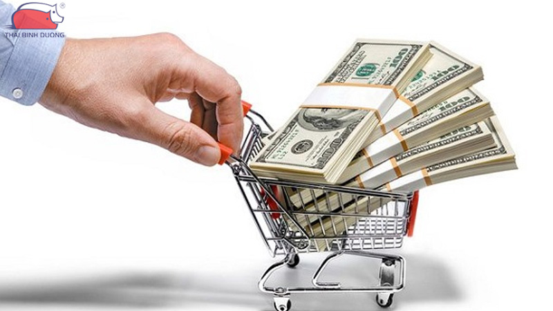 Tiềm năng mô hình nuôi gà đẻ trứng hộ gia đình 2026 19 Tiềm năng mô hình nuôi gà đẻ trứng hộ gia đình 2026