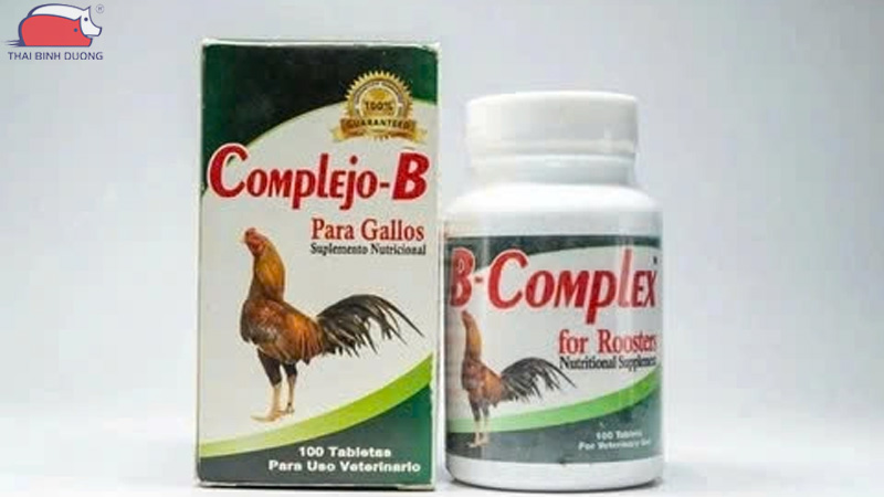 Dịch tả gà: Triệu chứng, cách phòng ngừa và điều trị