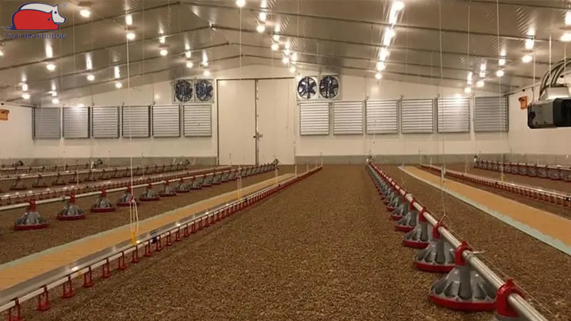 Nguyên tắc, quy trình sát trùng chuồng trại an toàn và chuẩn nhất