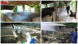 sat trung chuong trai