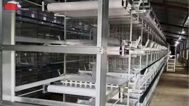 Băng tải phân gà: Phân loại, cấu tạo và Ưu điểm 12 Băng tải phân gà: Phân loại, cấu tạo và Ưu điểm