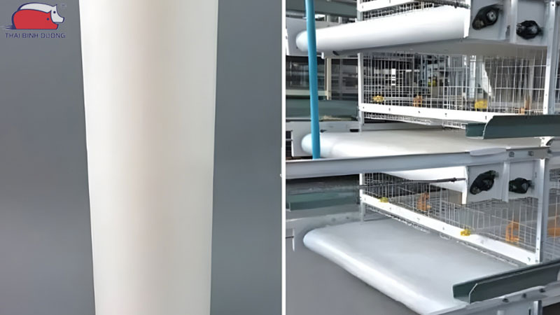 Băng tải phân gà: Phân loại, cấu tạo và Ưu điểm 14 Băng tải phân gà: Phân loại, cấu tạo và Ưu điểm