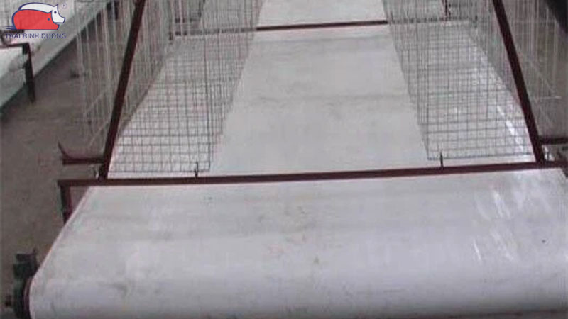 Băng tải phân gà: Phân loại, cấu tạo và Ưu điểm 11 Băng tải phân gà: Phân loại, cấu tạo và Ưu điểm