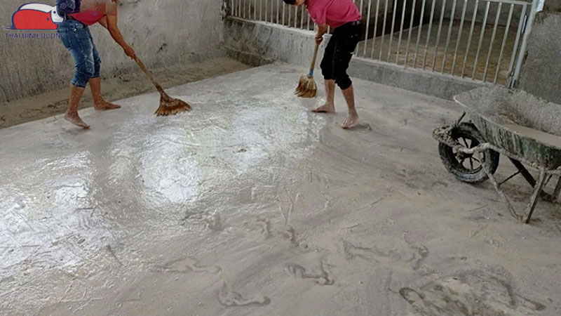 Cách khử trùng chuồng trại bằng vôi bột an toàn và hiệu quả