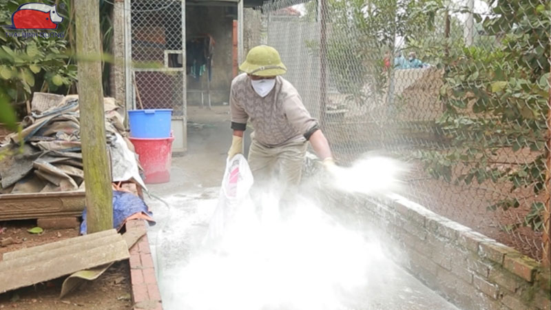 Cách khử trùng chuồng trại bằng vôi bột an toàn và hiệu quả